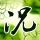 星际穿越